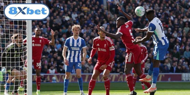 Liverpool vs Brighton hứa hẹn là màn so tài giữa hai hàng công ấn tượng